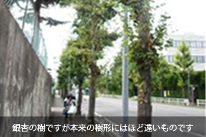 相沢こうたの活動報告